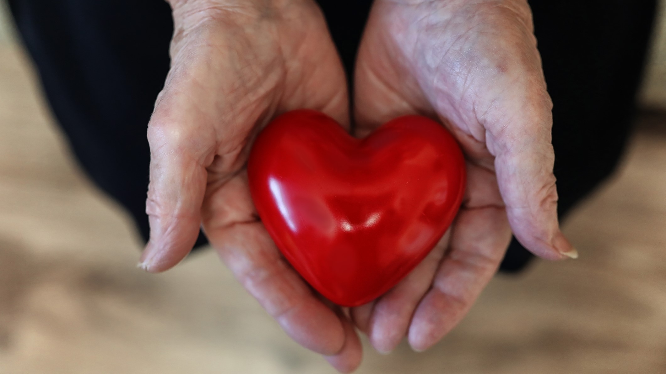 two elderly hands holding a red plastic heart