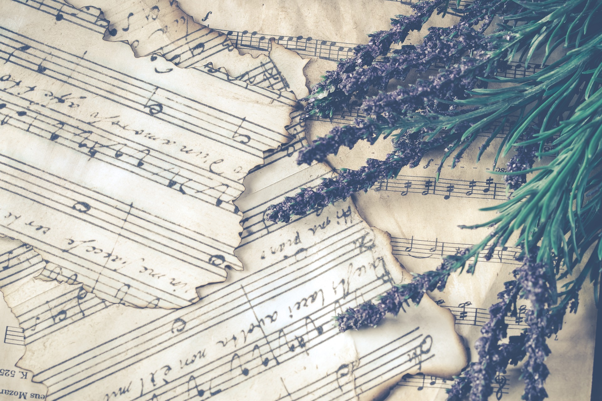 music sheets and lavender
